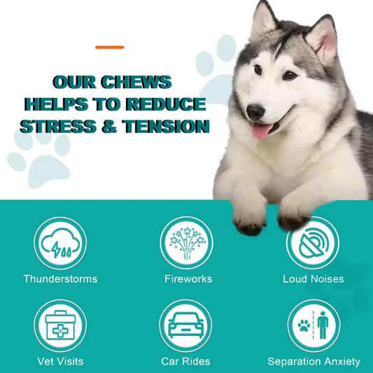 Pet Care Expert 150 Dog Food Hemp Chews calming treats for dogs with chicken flavor, designed for anxiety relief and stress reduction.
