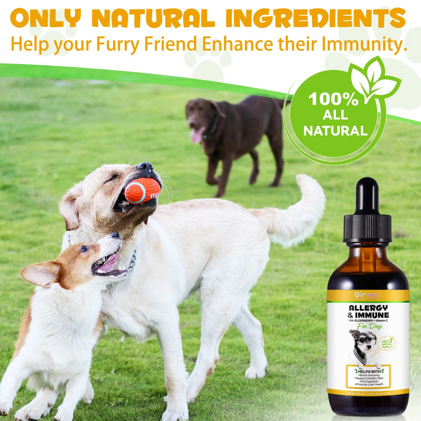 Dogs - Natural Pet Supplement Boost Immunity Healthy Skin Aid Digestion for Dogs - Pet Care Expert