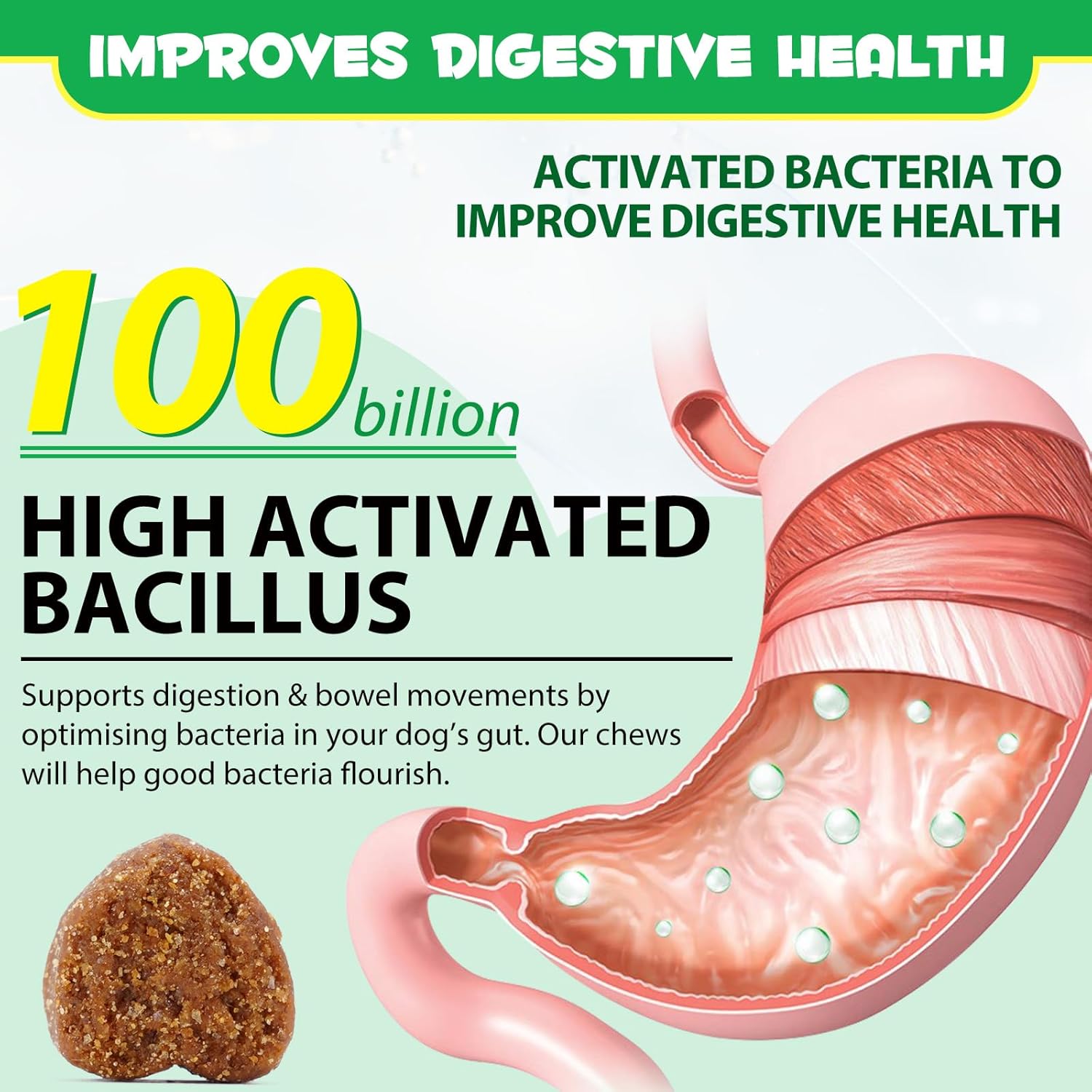 60 Daily PRE & PRO BIOTICS Treats Chews DOG HEALTHY DIGESTION GUT SUPPORT - Pet Care Expert