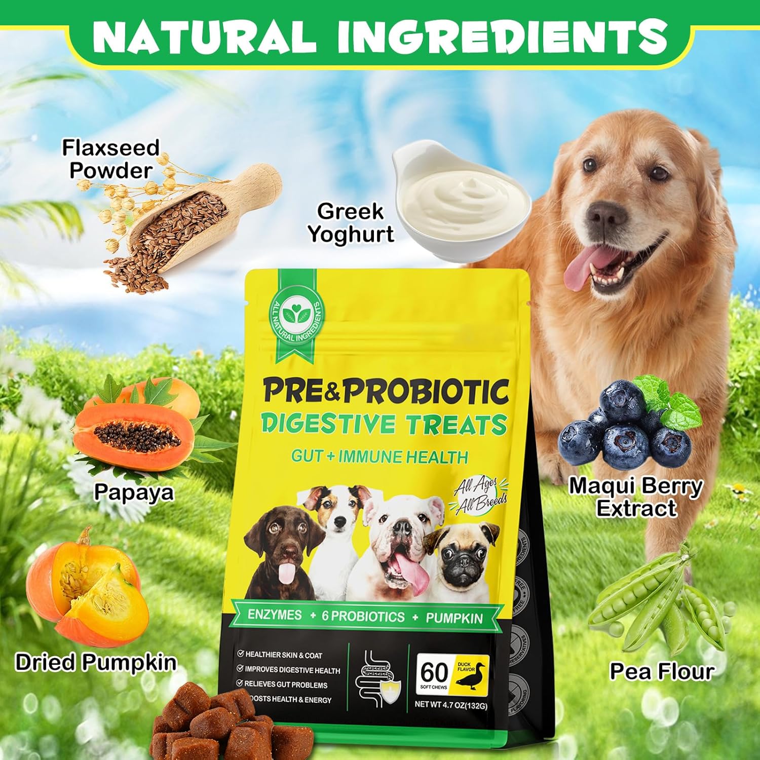 60 Daily PRE & PRO BIOTICS Treats Chews DOG HEALTHY DIGESTION GUT SUPPORT - Pet Care Expert