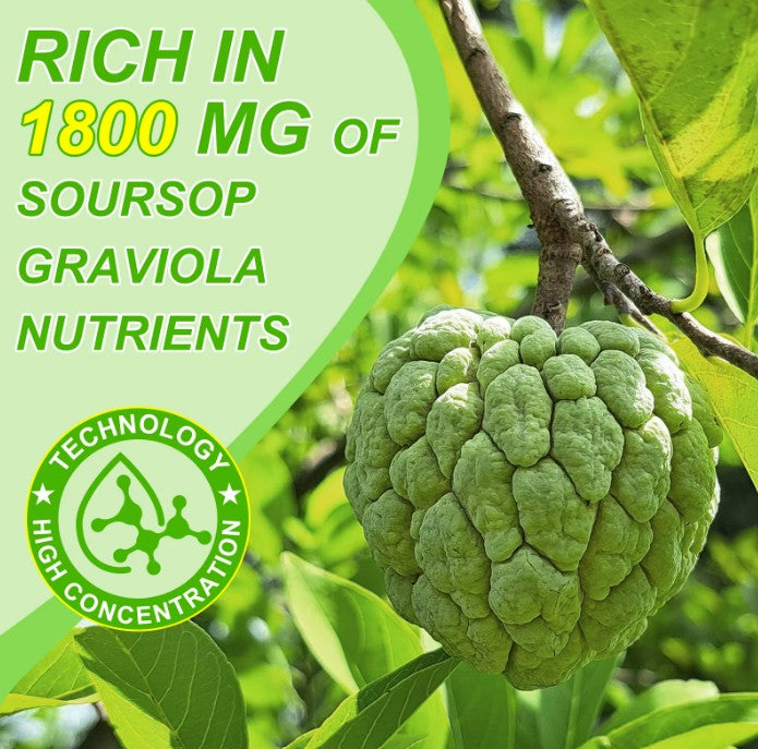 100% Pure Graviola Soursop Liquid Drops Bitters Fruit & Leaf Herbal Extract 60ml