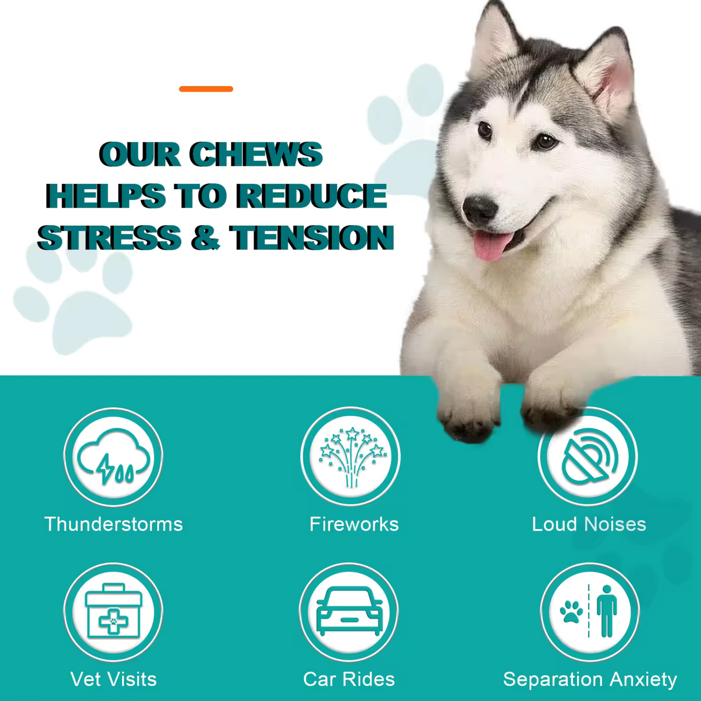 Pet Care Expert 150 Dog Food Hemp Chews calming treats for dogs with chicken flavor, designed for anxiety relief and stress reduction.