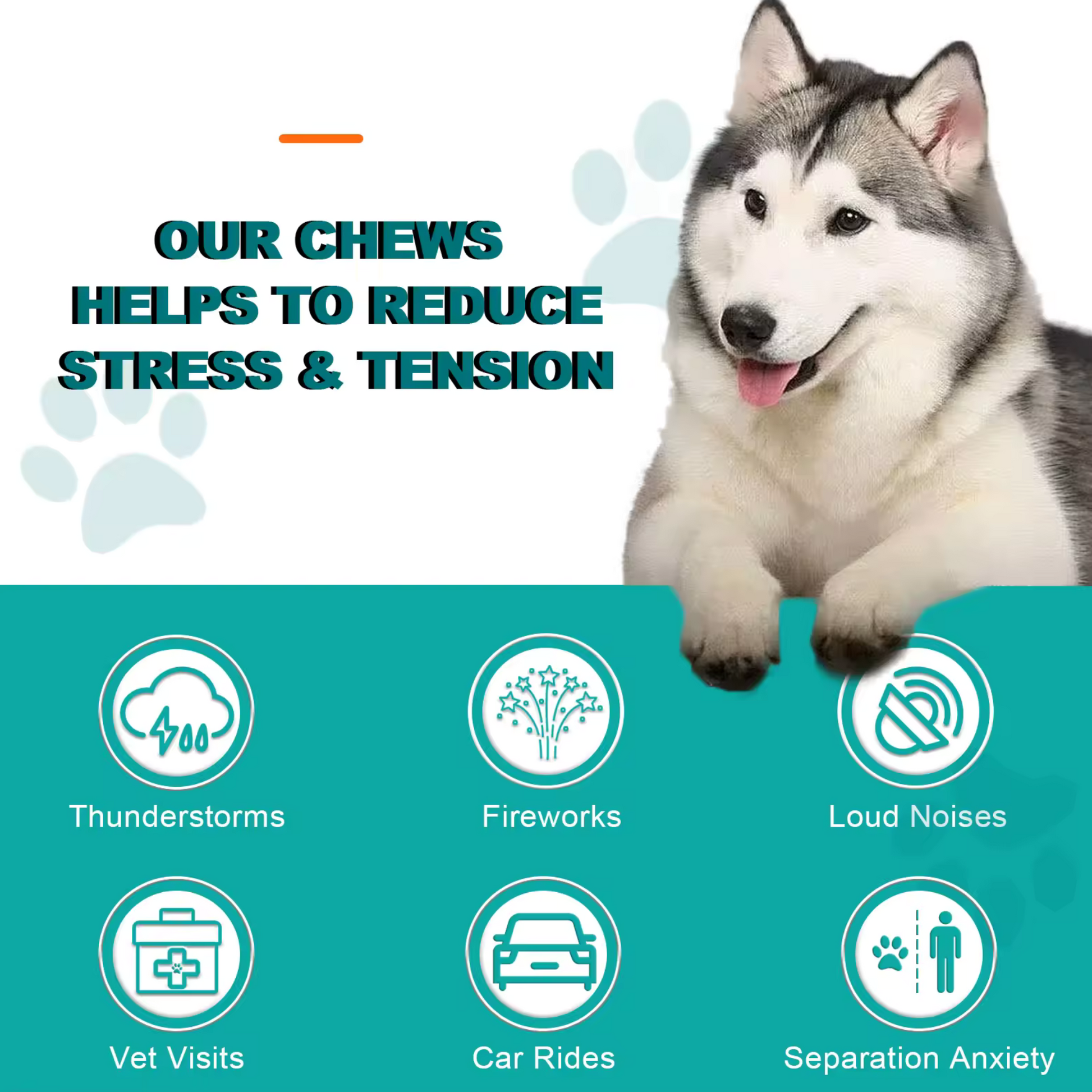 Pet Care Expert 150 Dog Food Hemp Chews calming treats for dogs with chicken flavor, designed for anxiety relief and stress reduction.