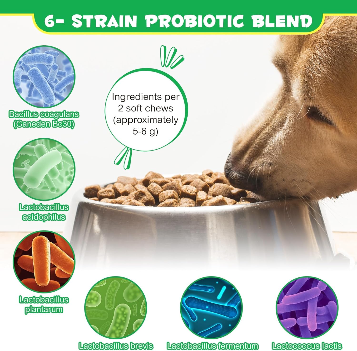 Pet Care Expert dog treats with 60 daily pre and pro biotics for healthy digestion and gut support.