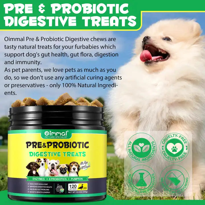 Dog Probiotic Chews by Pet Care Expert, natural treats for daily digestive and gut health support for dogs.