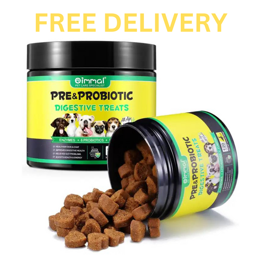 Dog Probiotic Chews by Pet Care Expert, natural dog treats for daily digestive and gut health support, shown in packaging.