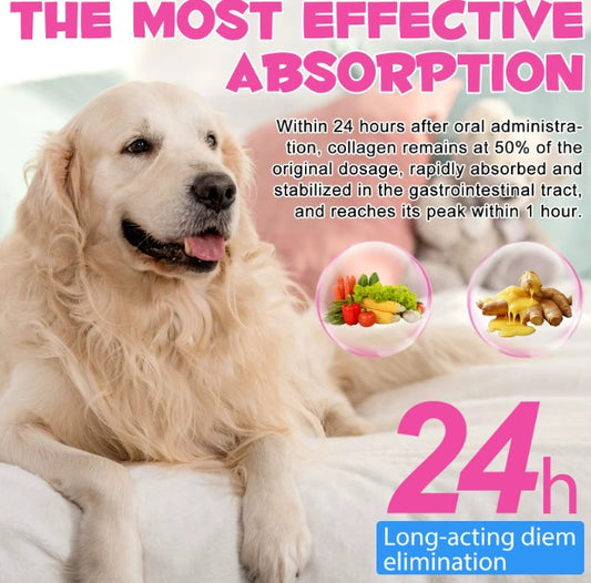 Dog treats by Pet Care Expert, liquid collagen supplement for skin, coat, and joint support for dogs.