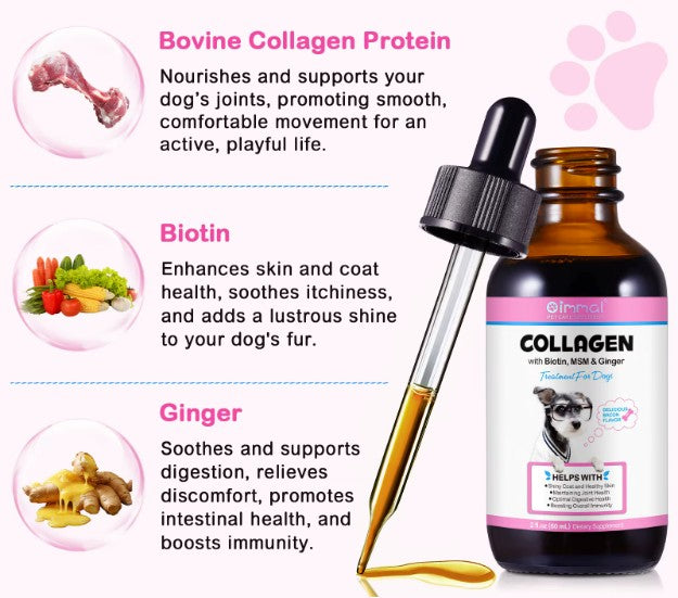 Dog treats with liquid collagen supplement for skin, coat, and joint support by Pet Care Expert, displayed in a pet bowl.