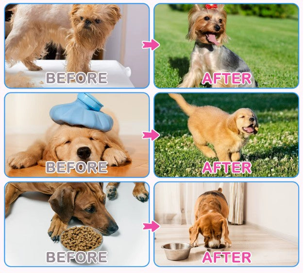 Dog treats with liquid collagen supplement for skin, coat, and joint support by Pet Care Expert, showing treats and packaging.