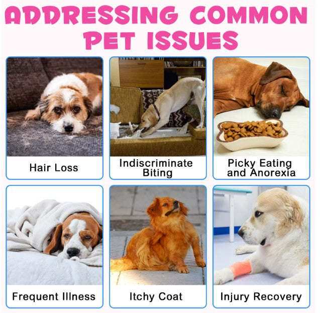 Dog treats containing liquid collagen supplement by Pet Care Expert, designed to support skin, coat, and joint health in dogs.