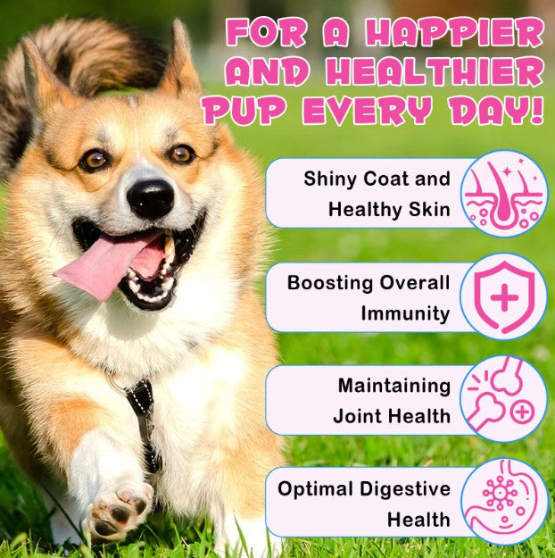 Dog treats with liquid collagen supplement for skin, coat, and joint support from Pet Care Expert, shown in a natural setting.