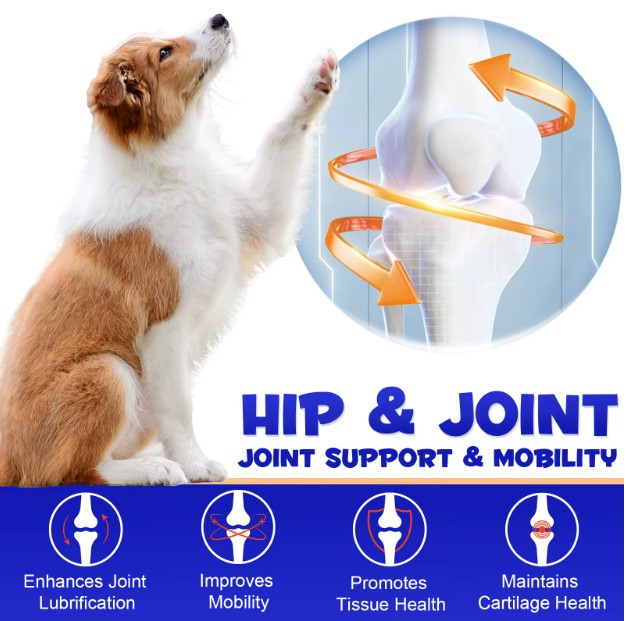 Oimmal Duck Flavour Hip and Joint Support Dog Treats by Pet Care Expert in 180 tablets, showing the supplement packaging.