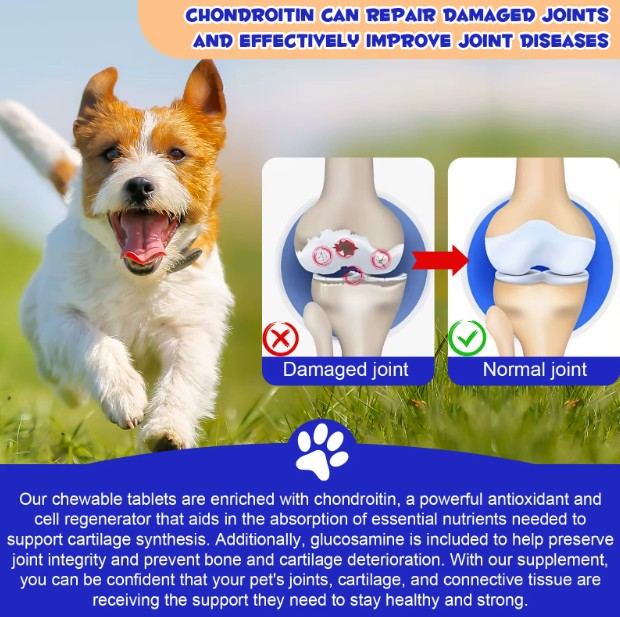 Oimmal Duck Flavour Hip and Joint Support Dog Treats by Pet Care Expert, 180 tablets for canine joint health.