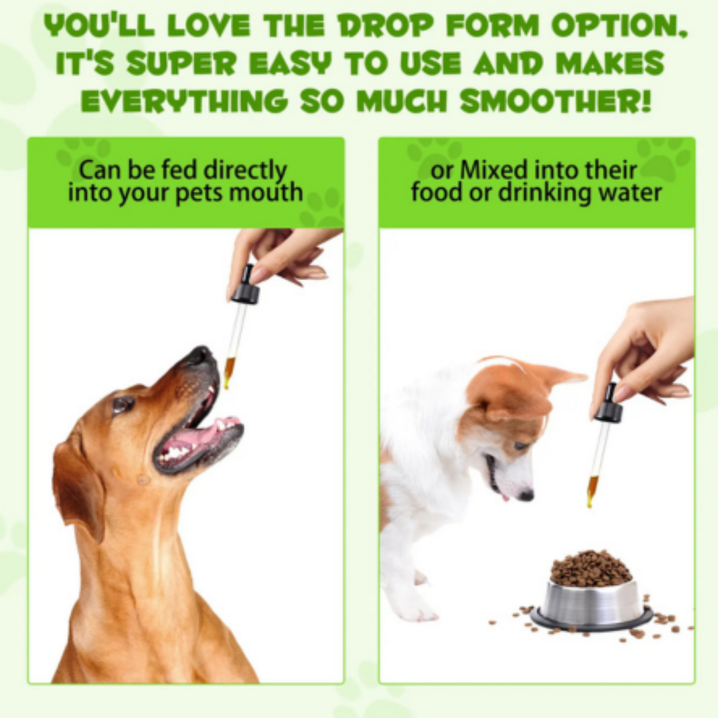 Dog treats from Pet Care Expert featuring Pre & Pro Biotic Food Drops for dogs to support healthy digestion and gut health.