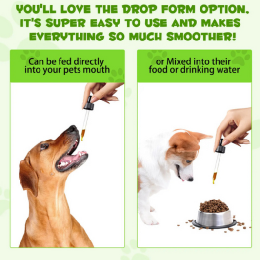 Dog treats from Pet Care Expert featuring Pre & Pro Biotic Food Drops for dogs to support healthy digestion and gut health.