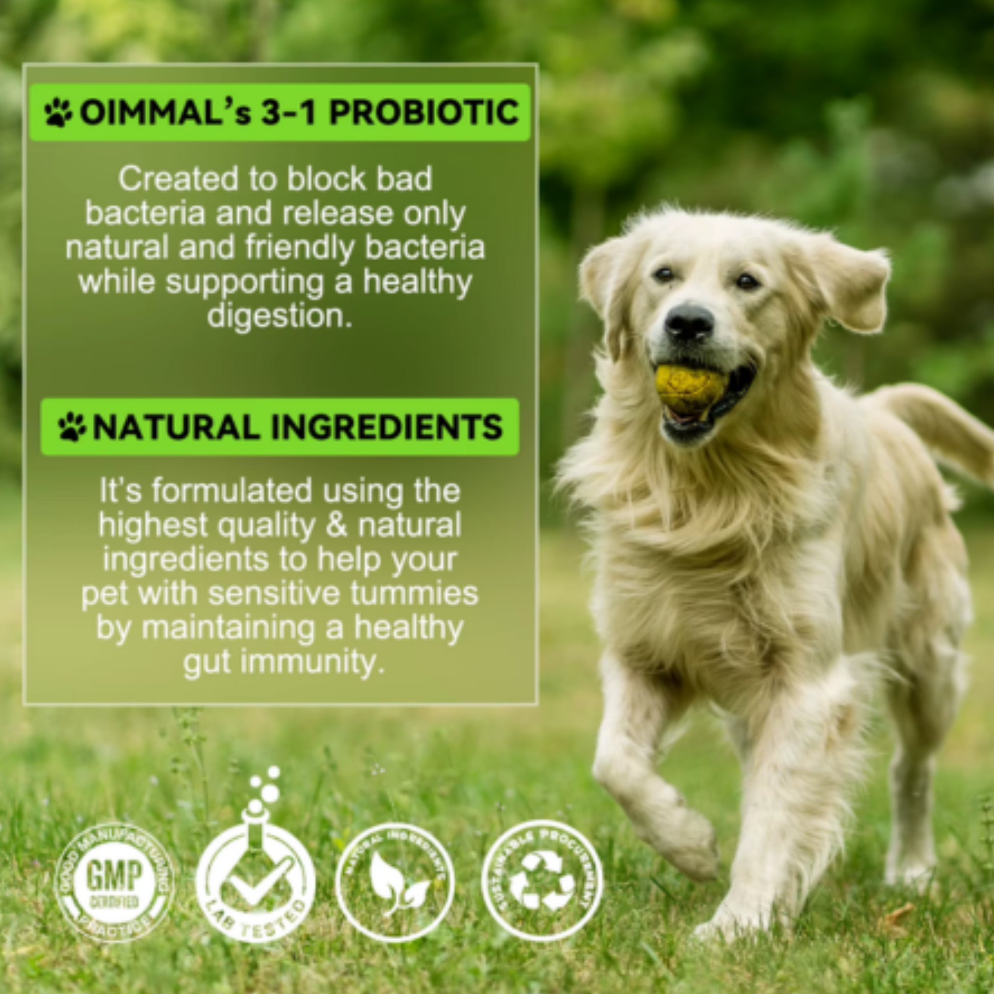 Dog treats by Pet Care Expert featuring Pre & Pro Biotic Food Drops for healthy digestion and gut support in dogs.