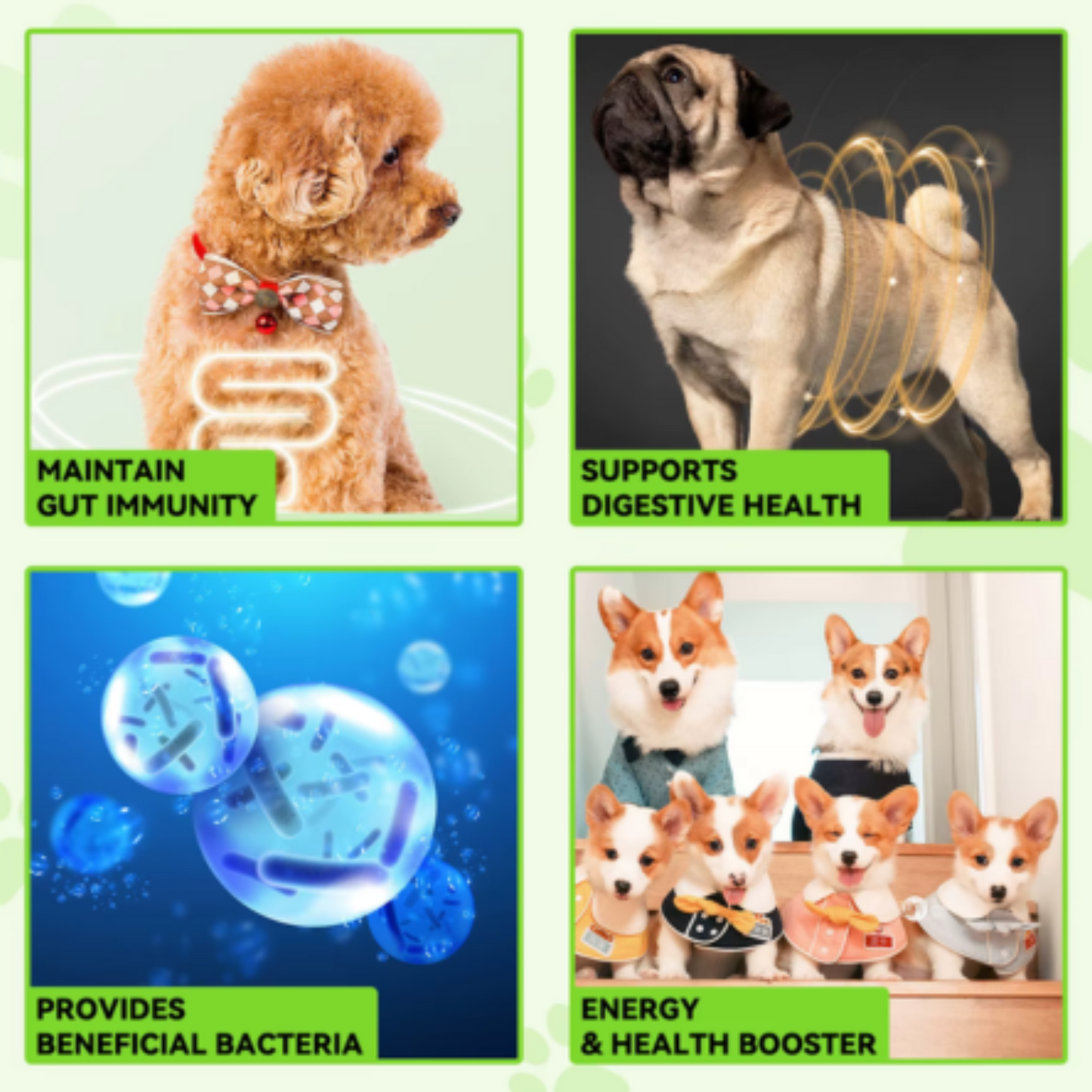 Pet Care Expert dog treats with Pre & Probiotic Food Drops for healthy digestion and gut support in dogs.
