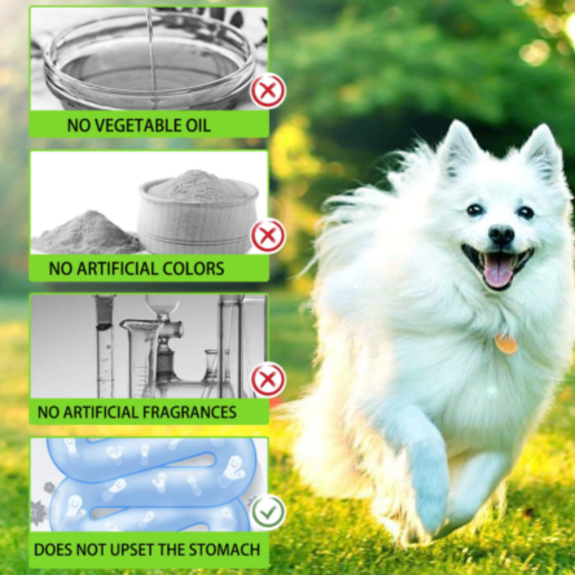 Dog treats labeled Pet Care Expert Pre & Pro Biotic Food Drops for healthy digestion and gut support in dogs.