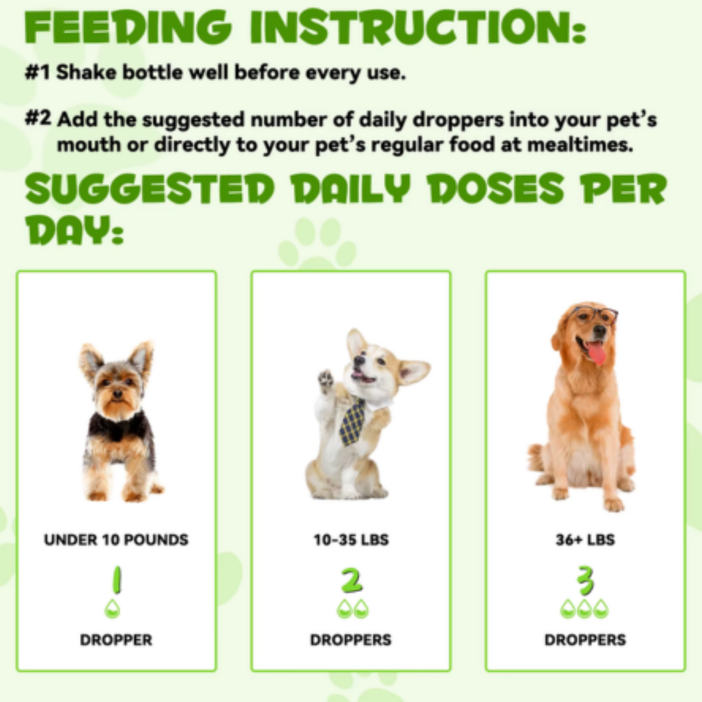 Dog treats by Pet Care Expert with Pre & Probiotic food drops for healthy digestion and gut support in dogs.