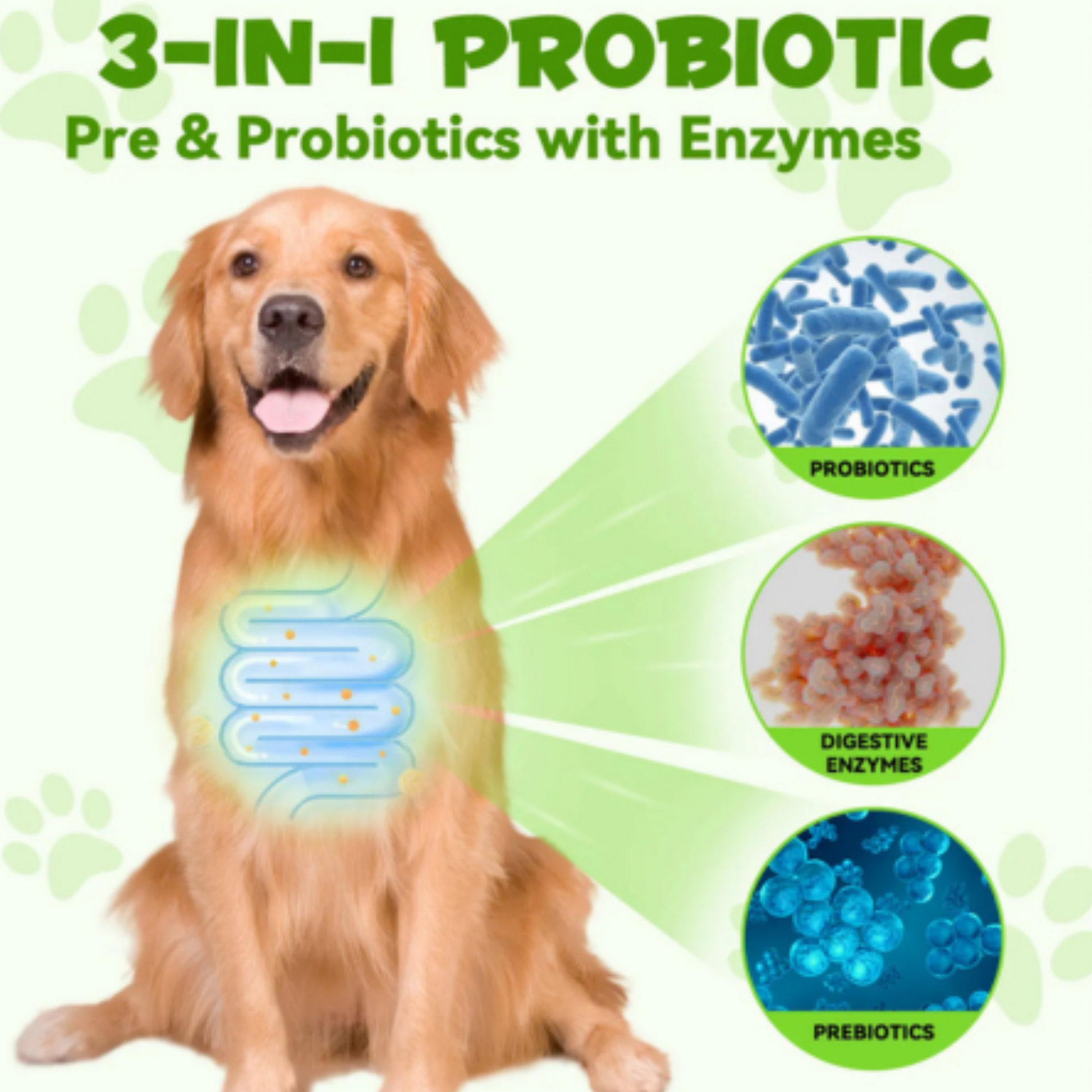 Pet Care Expert Pre & Pro Biotic Dog Treats with drops for healthy digestion and gut support.
