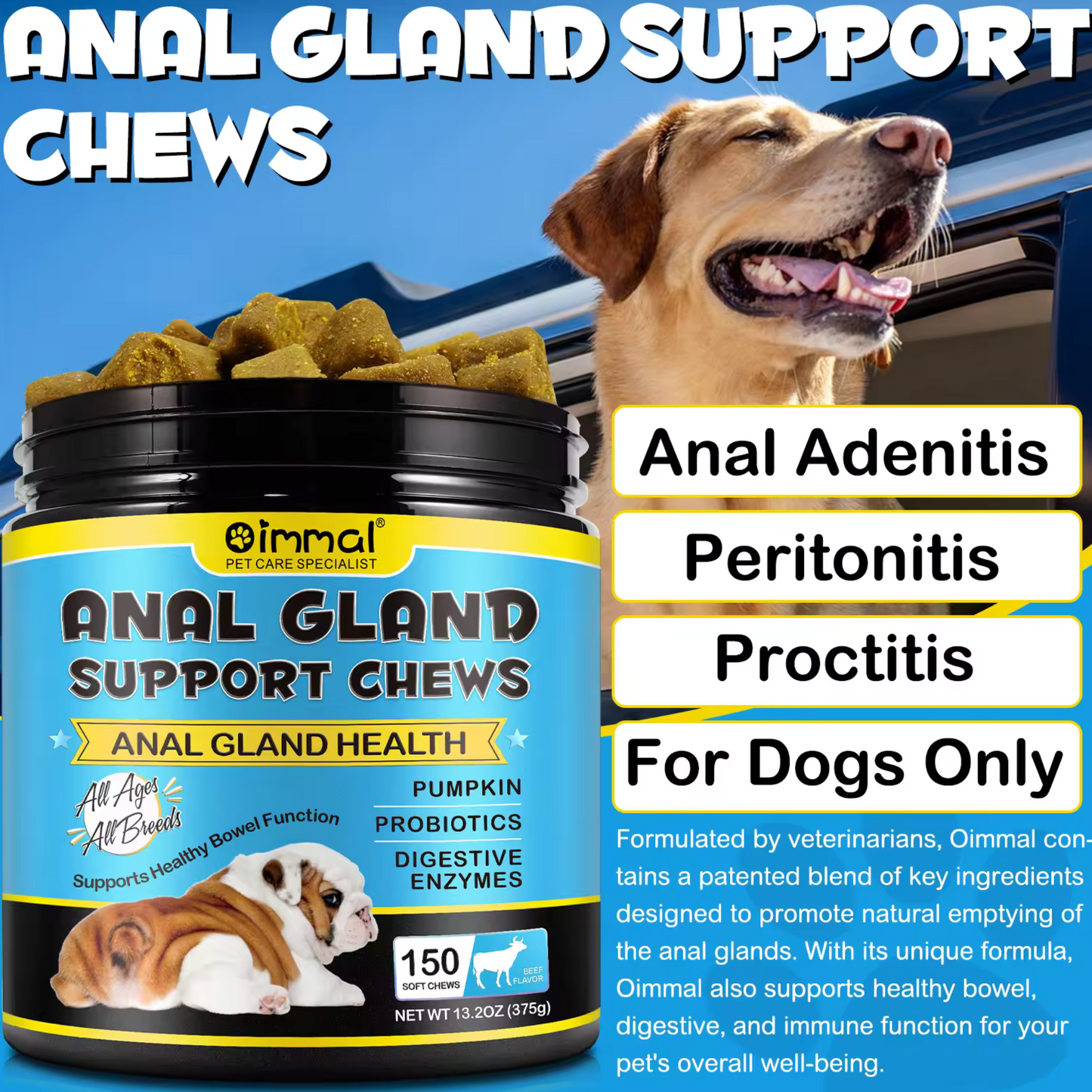Pet Care Expert dog treats featuring soft chews with pumpkin, digestive enzymes, and fiber for anal gland health in dogs.