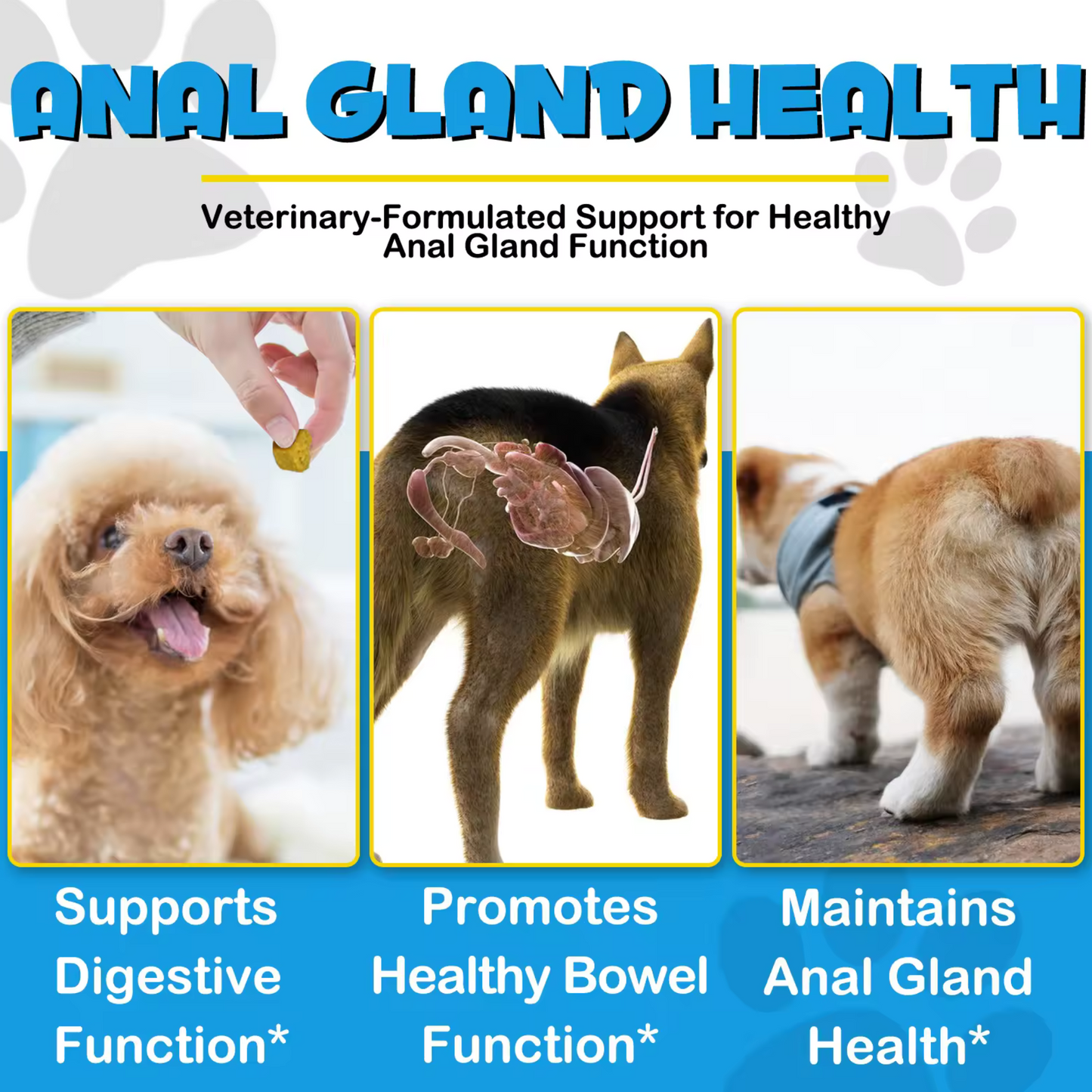 Pet Care Expert dog treats soft chews for anal gland issues with pumpkin, digestive enzymes, and fiber for supporting canine health.
