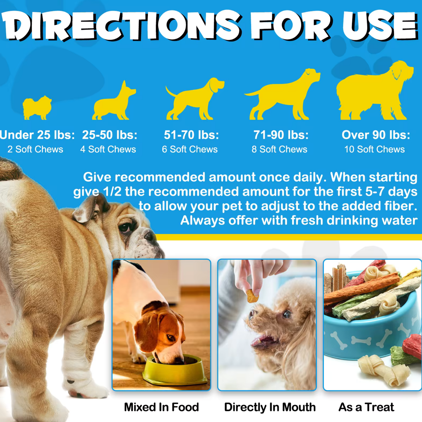 Pet Care Expert dog soft chews for anal gland problems with pumpkin, digestive enzymes, and fiber to support canine digestive health.