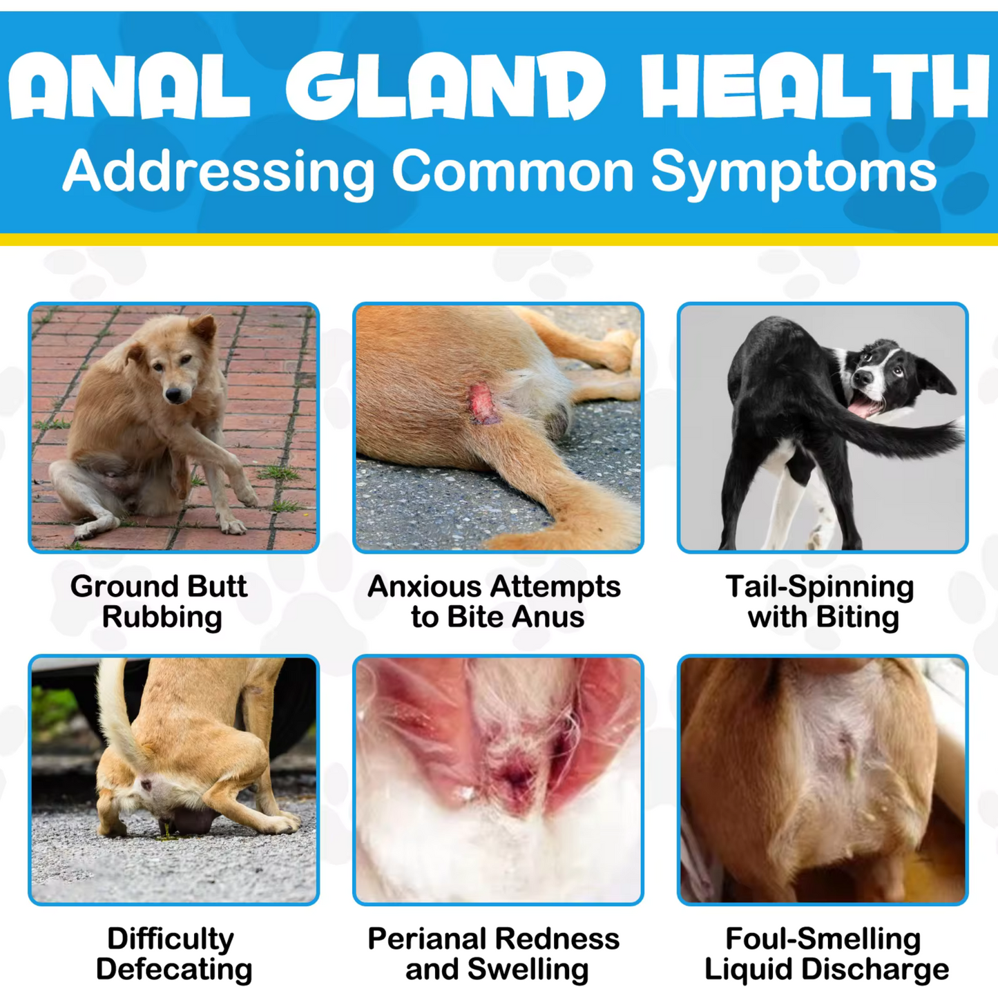 Pet Care Expert soft dog treats for anal gland issues with pumpkin, digestive enzymes, and fiber to support canine digestive health.
