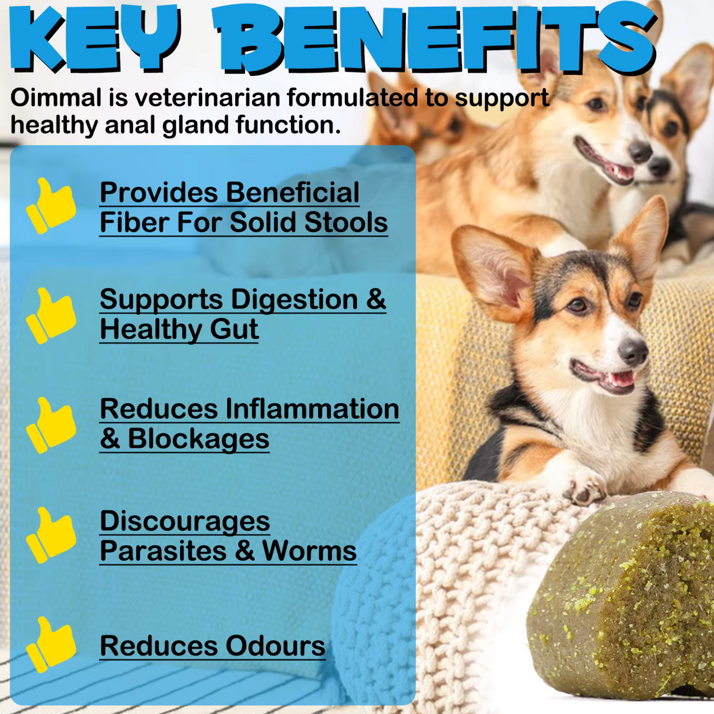 Dog treats by Pet Care Expert featuring soft chews with pumpkin, digestive enzymes, and fiber for anal gland support in dogs.
