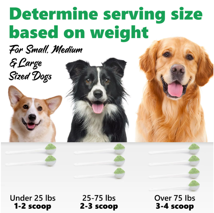 Pet Care Expert dog dental cleaning powder for tartar removal and fresh breath, visible in the image.